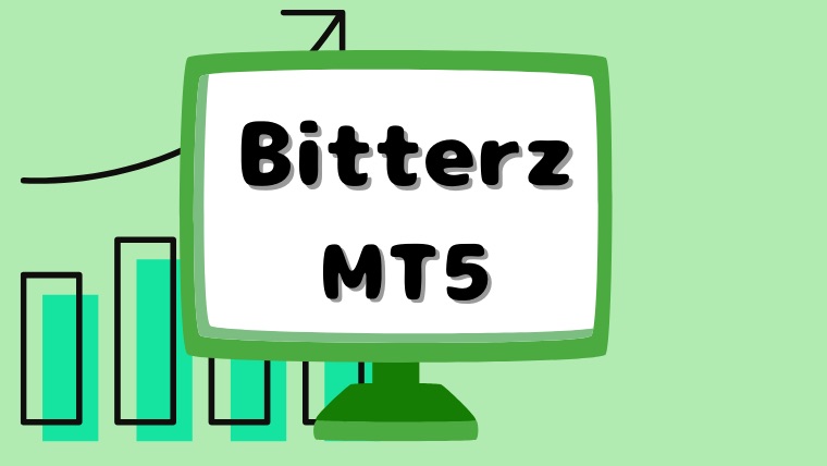 Bitterz（ビッターズ）のMT5！使い方、ログインできない時の対処法を徹底解説！